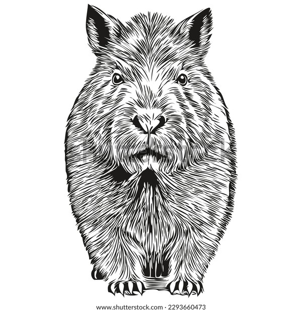 Hundred capybara head royalty
