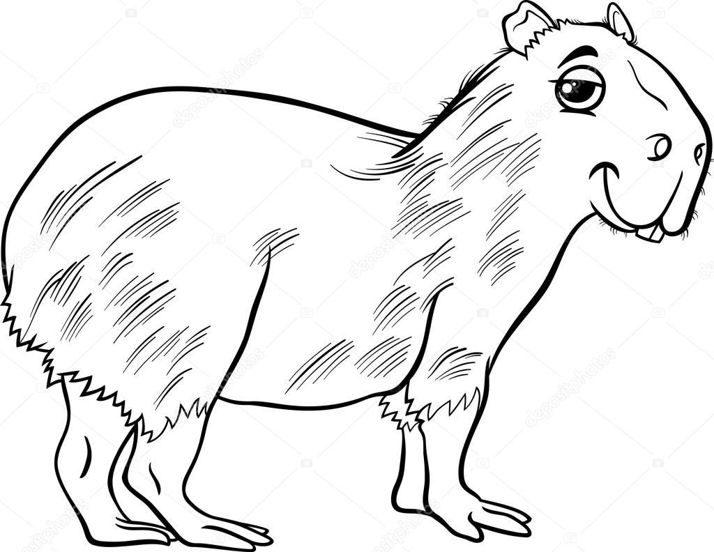 Capybara animal cartoon coloring page stock vector by izakowski