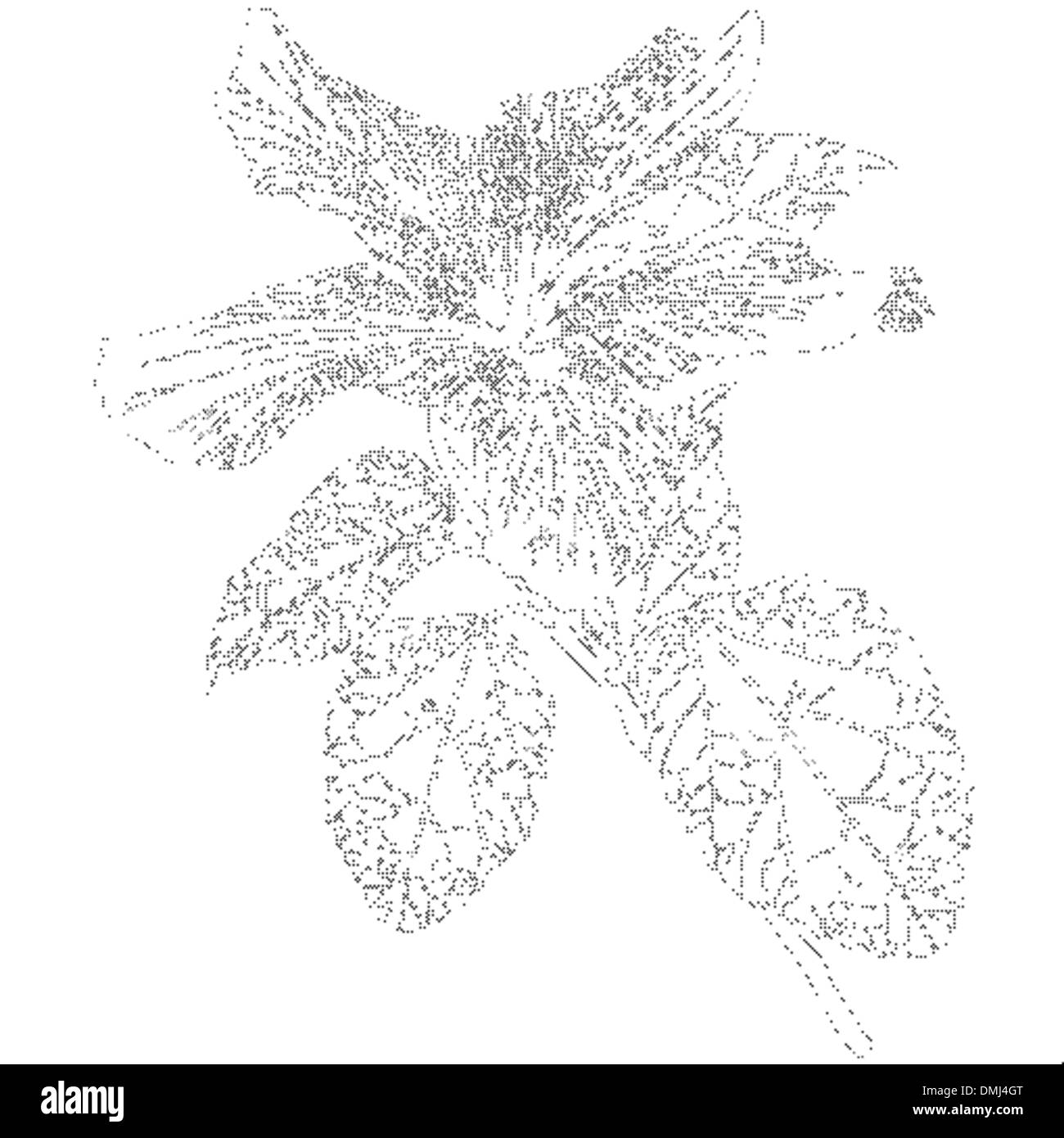 Macro of hibiscus flower stock vector images