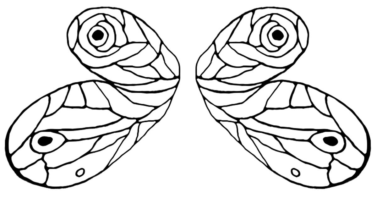 Fairy wings