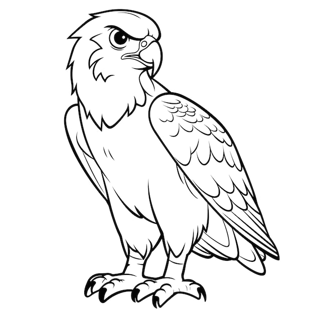 Premium vector falcon coloring pages vector animals