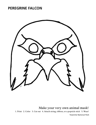 Peregrine falcon mask coloring page free printable coloring pages
