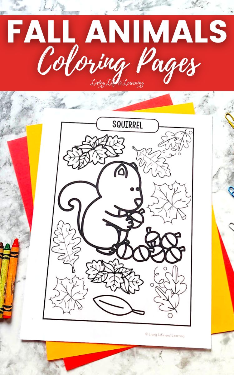 Fall animals coloring pages