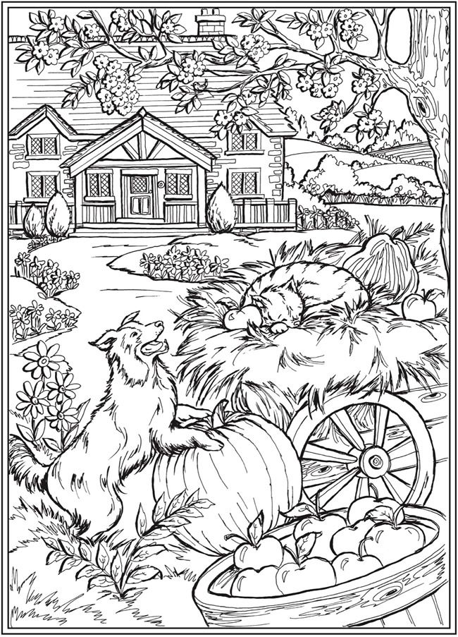 Wele to dover publications animal coloring pages abstract coloring pages fall coloring pages