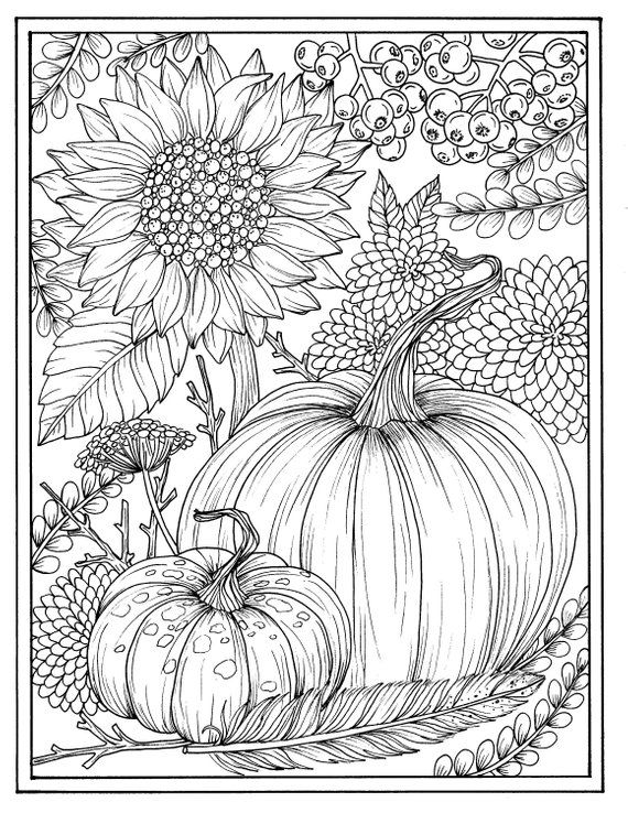 Fall flowers and pumpkins digital coloring page thanksgiving