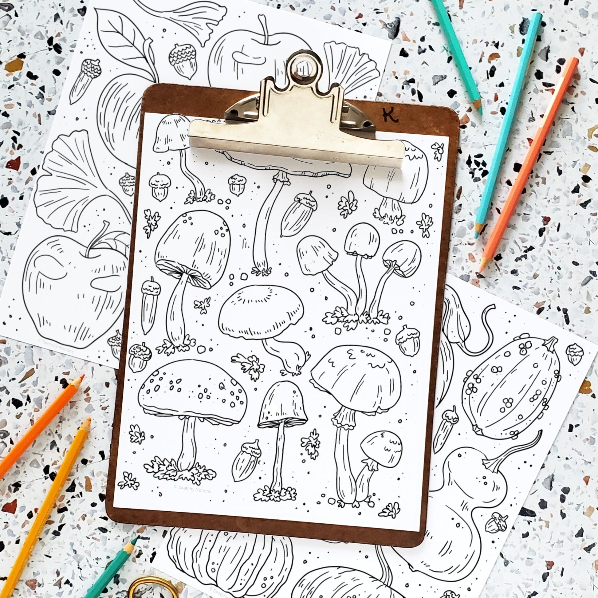 Fall harvests coloring pages printable apples gourds mushrooms â sketchy notions