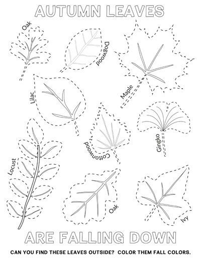Preschool tracing worksheets