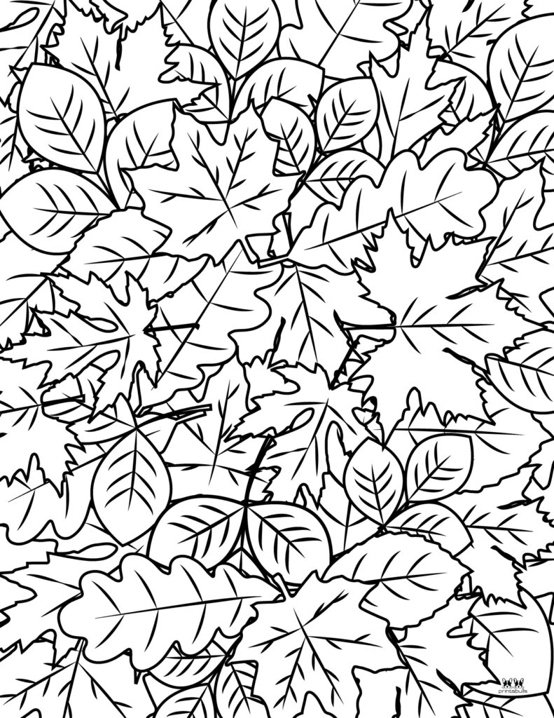 Leaf outlines templates coloring pages