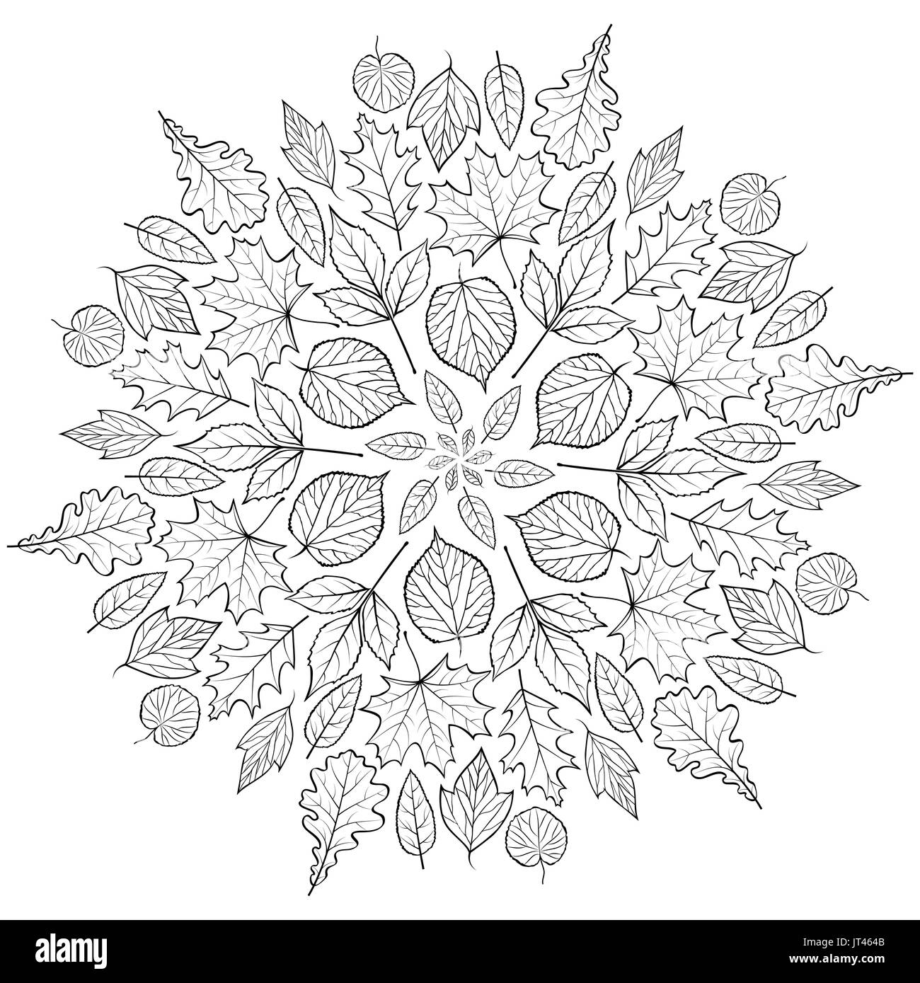 Autumn mandala with autumn leaves on white background coloring page for children and adult vector illustration stock vector image art