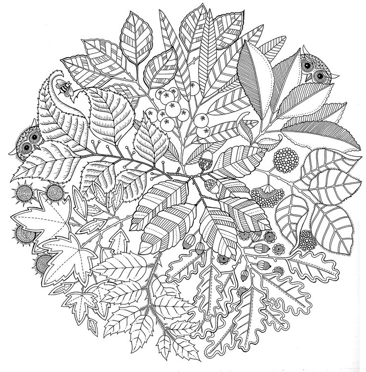 Art therapy coloring page autumn mandala autumn