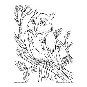 Autumn owl coloring page