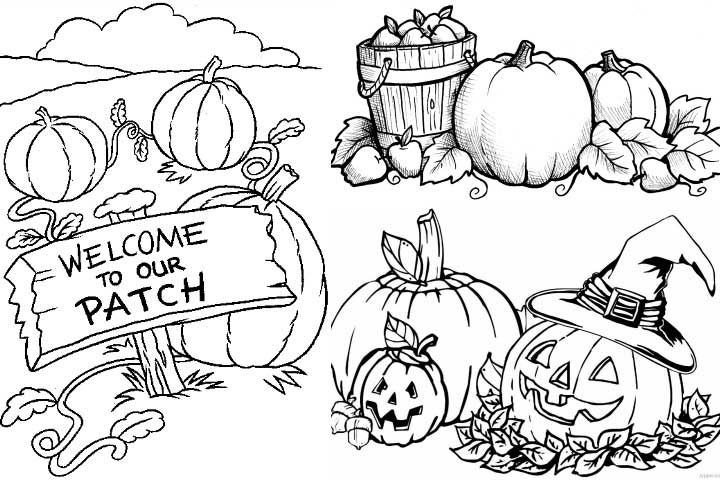 Printable coloring pages pumpkin coloring pages coloring pages free pumpkin patch