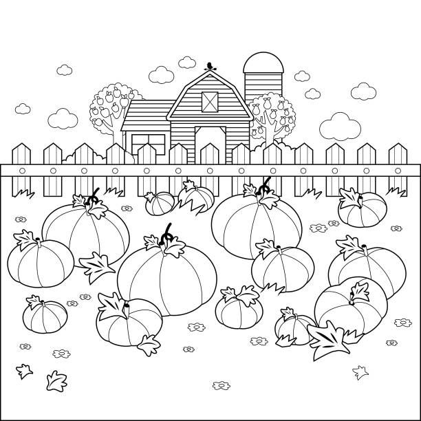 Rural landscape with a pumpkin field and a farmhouse vector black and white coloring page stock illustration