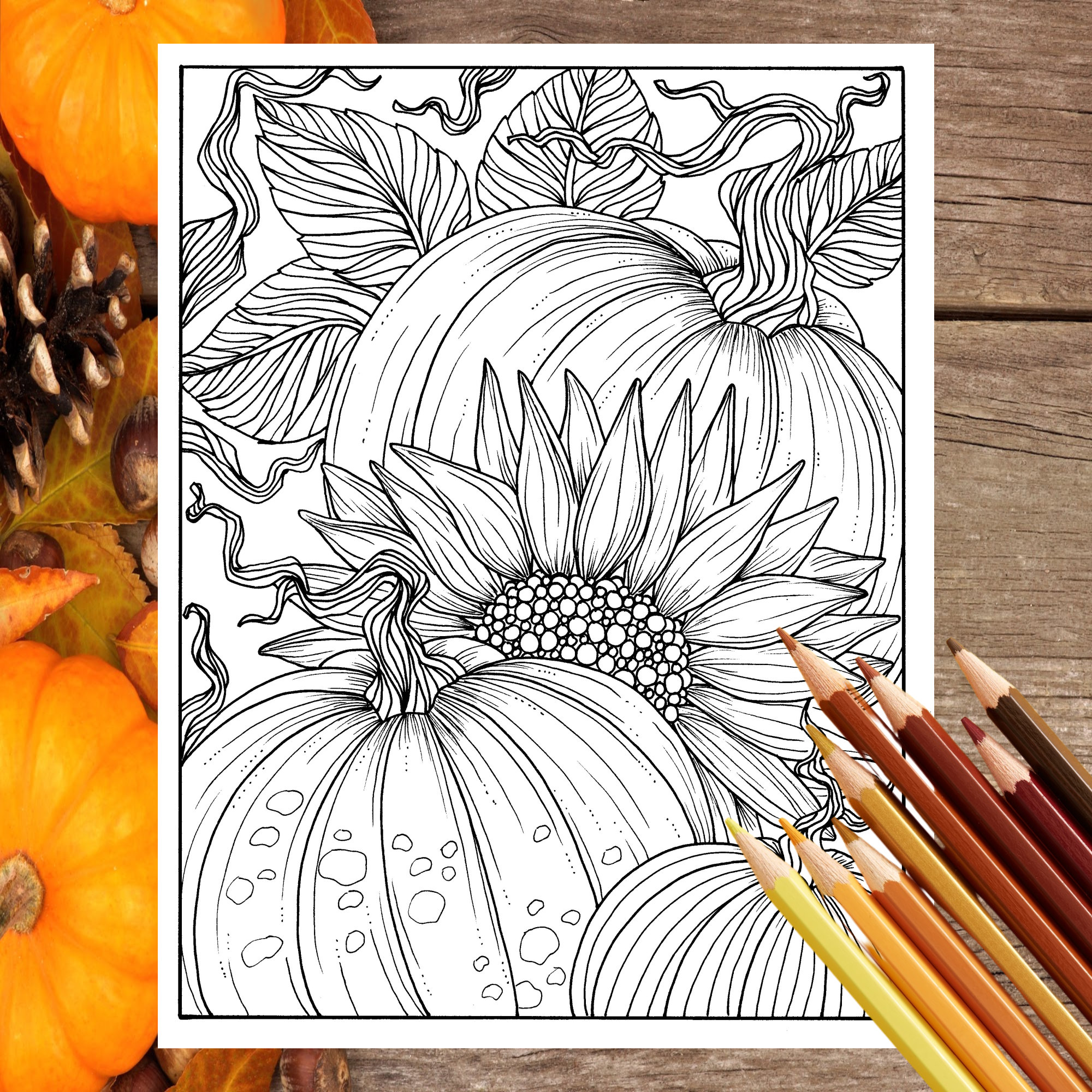 Pumpkins and sunflower digital coloring page fall adult coloring digi stamp thanksgiving download now