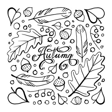 Fall coloring pages images â browse photos vectors and video
