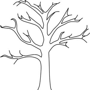 Fall trees coloring pages printable for free download