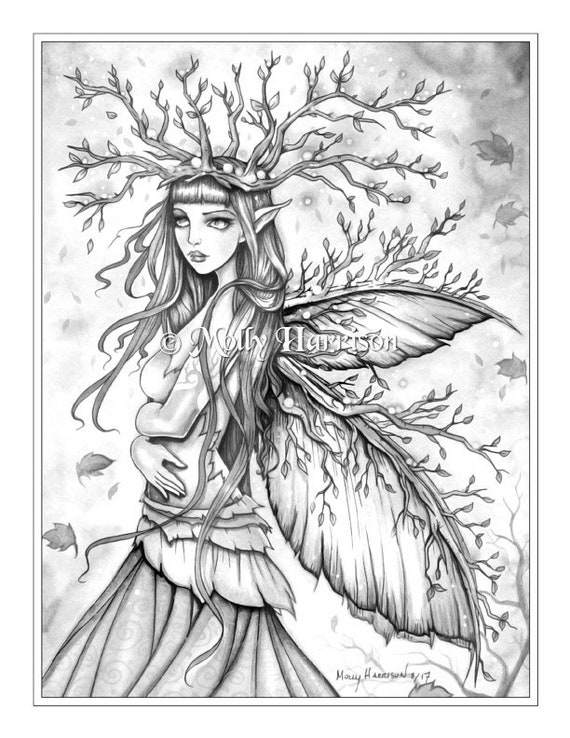 Autumn queen fairy instant download grayscale printable coloring page by molly harrison fairy fantasy art