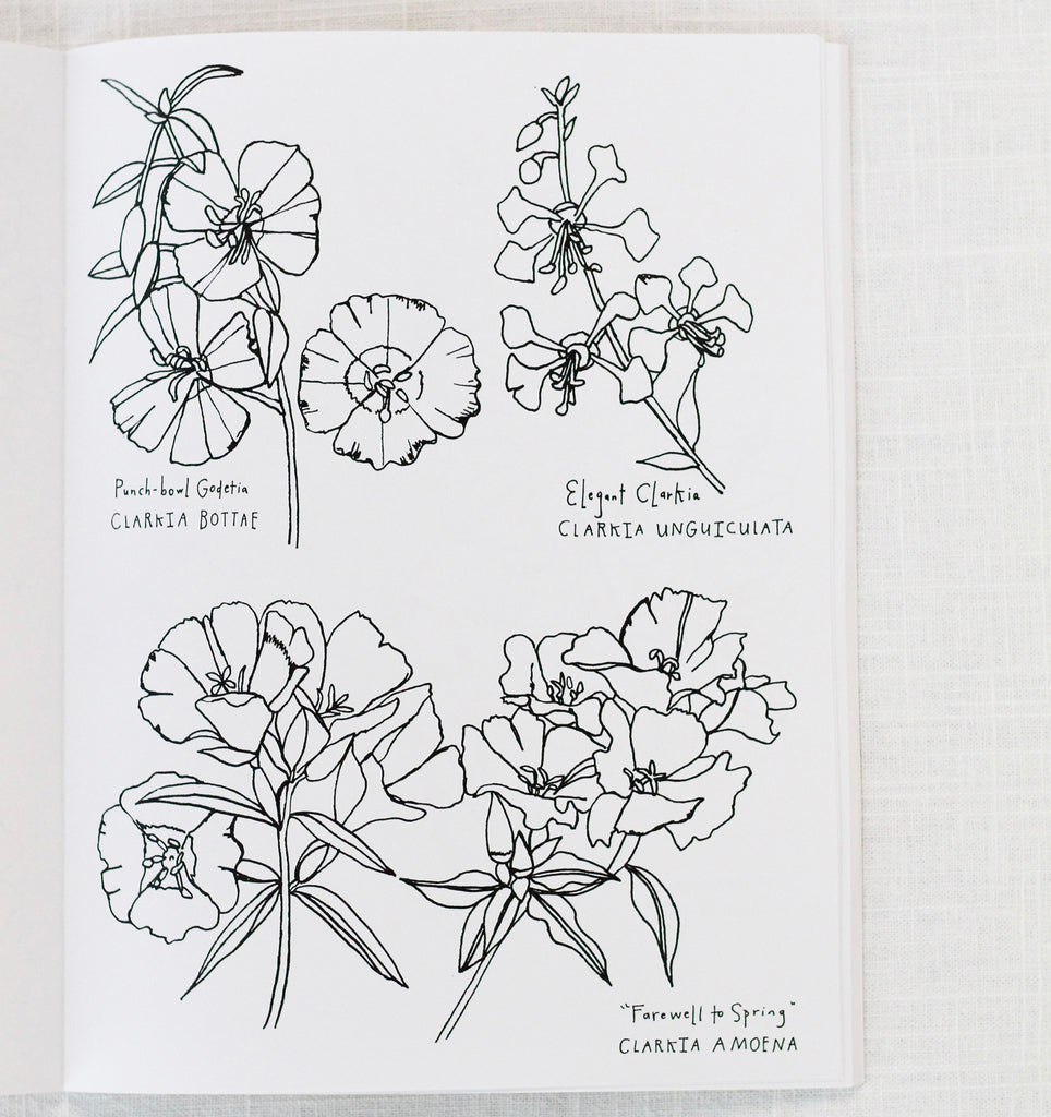Buds along the path coloring book â take heart shop