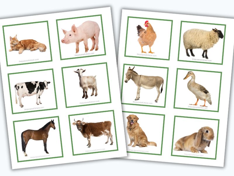 Farm animal matching cards