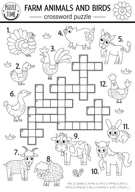 Vector farm animals and birds black and white crossword puzzle for kids simple on the farm line quiz country educational activity with cow hen pig rural village cross word coloring page stock