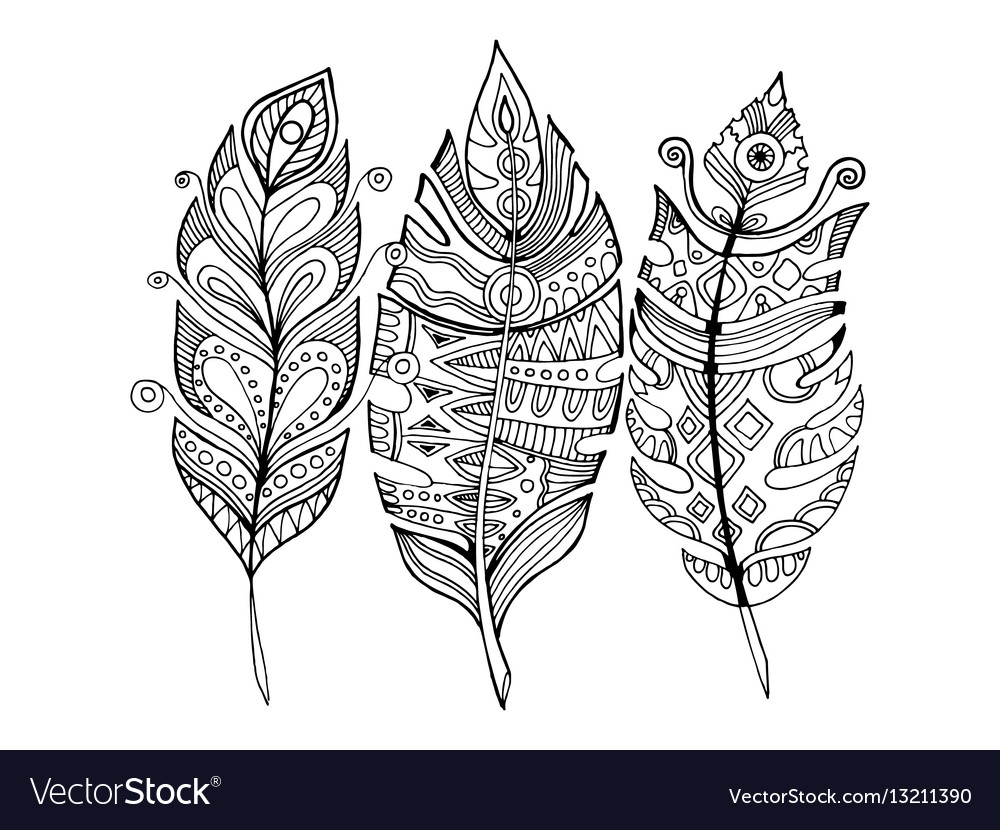 Feathers coloring book royalty free vector image