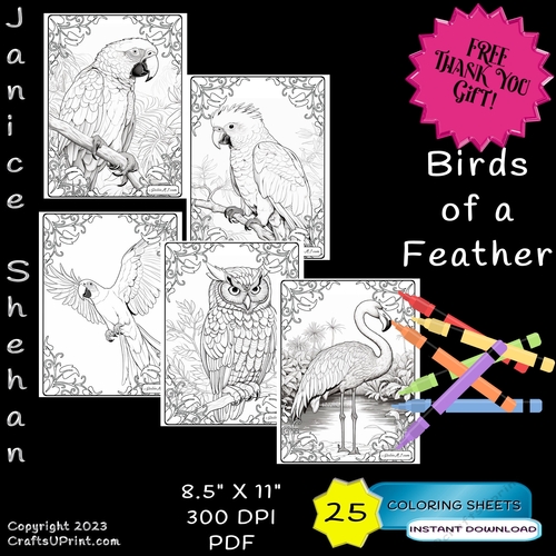 Birds of a feather adult coloring pages coloring sheets peacock parrot macaw