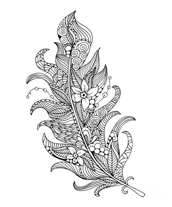 Feather coloring page art print by svetlana malysheva