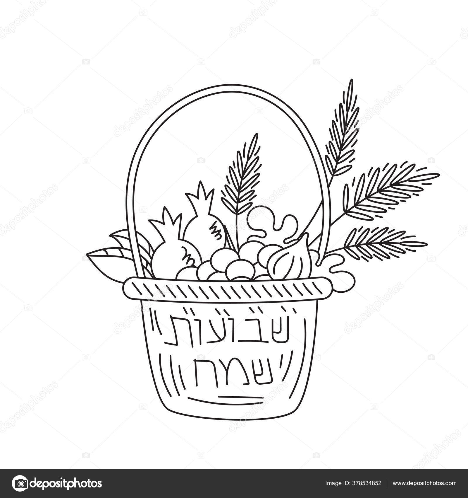 Shavuot fãrias judaicas colorir pãgina imagem vetorial de elinorka
