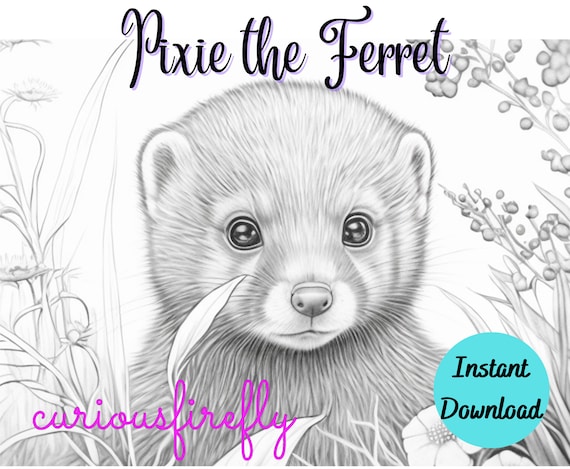 Coloring page for adults pixie the ferret grayscale coloring page instant download curious firefly design jpeg pdf instant download