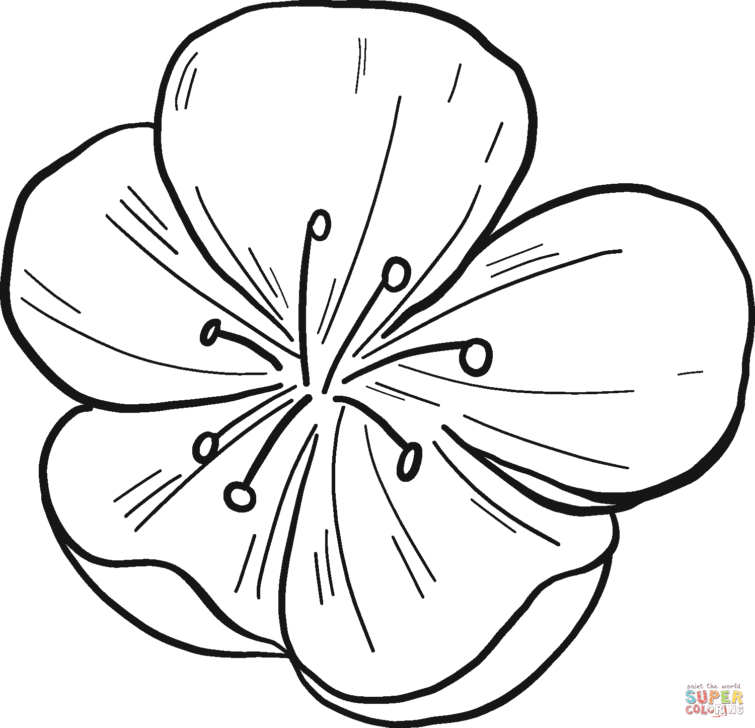 Fersken blomst tegninger til print