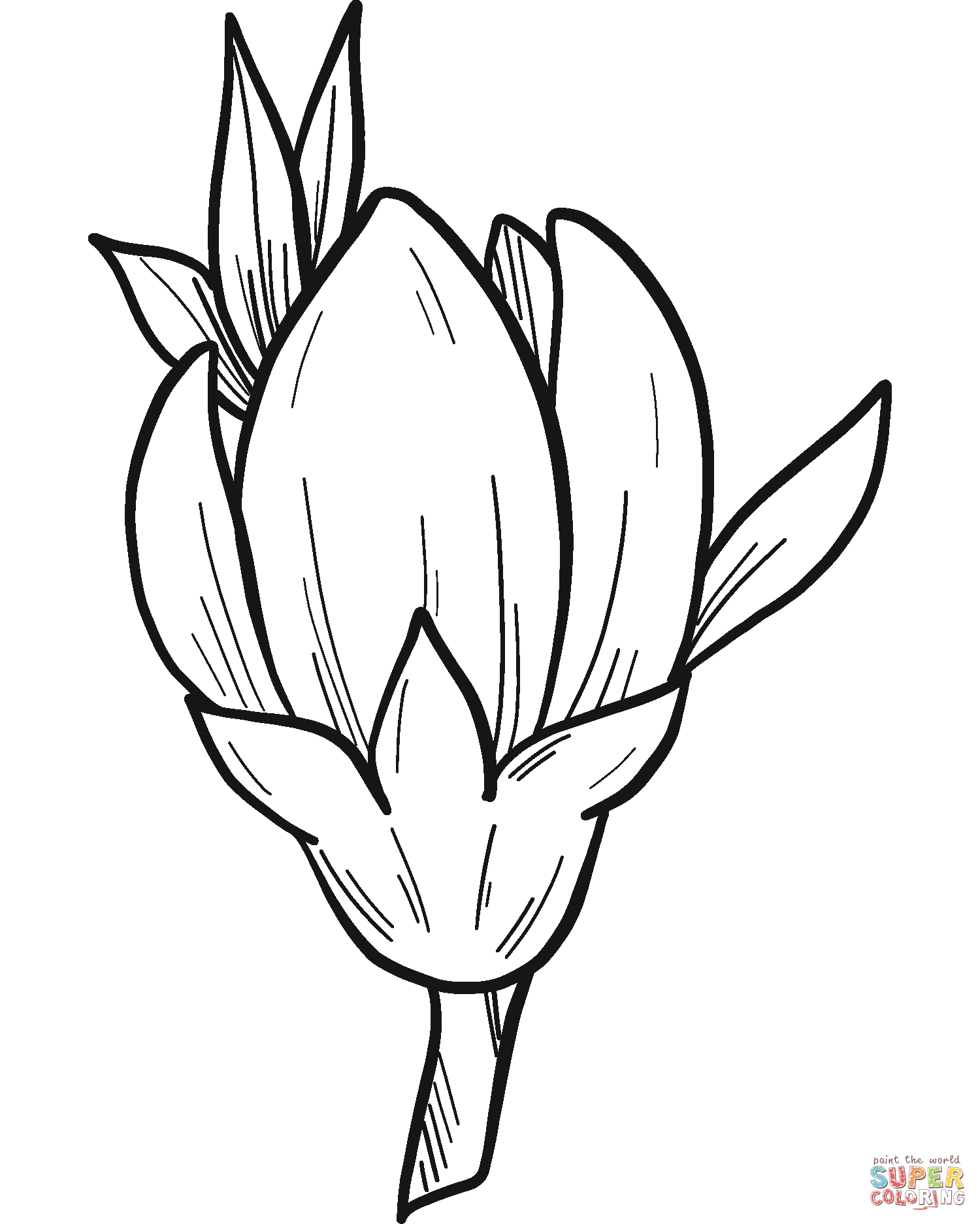 Fersken blomst tegninger til print