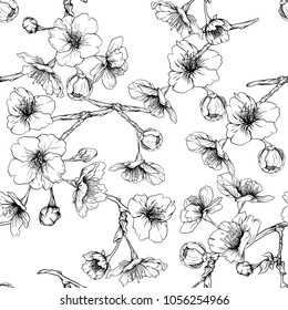 Cherry blossom blomster tegning illustration vektor stock