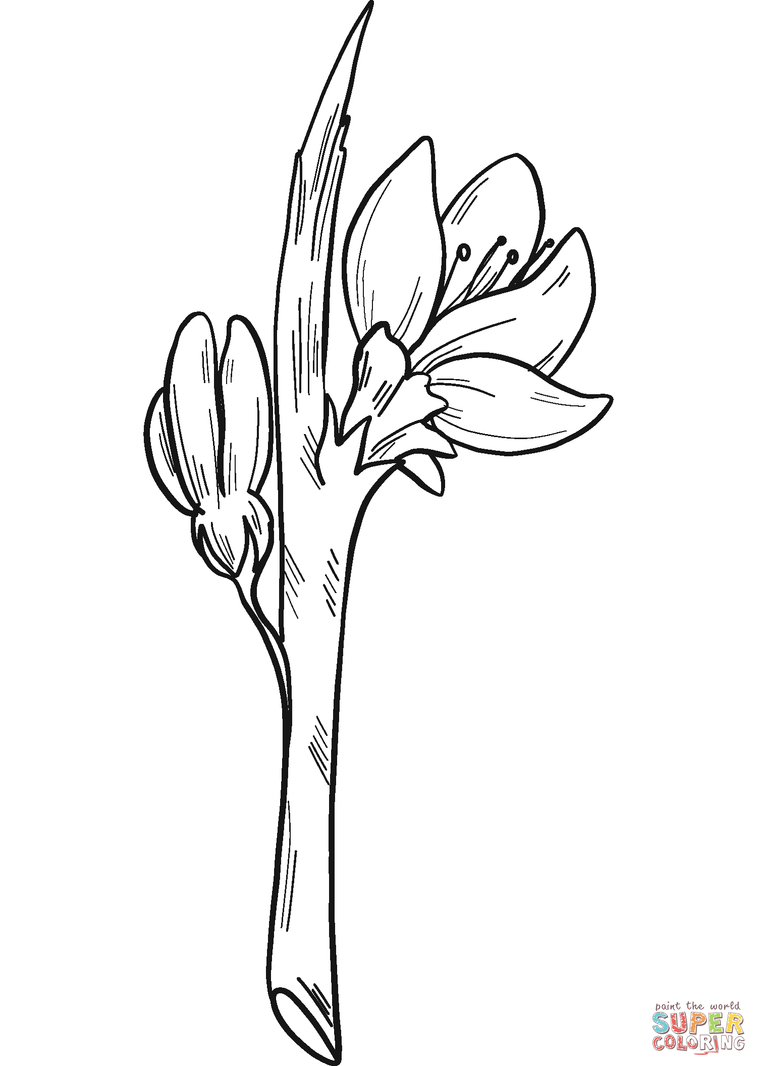 Fersken blomster tegninger til print