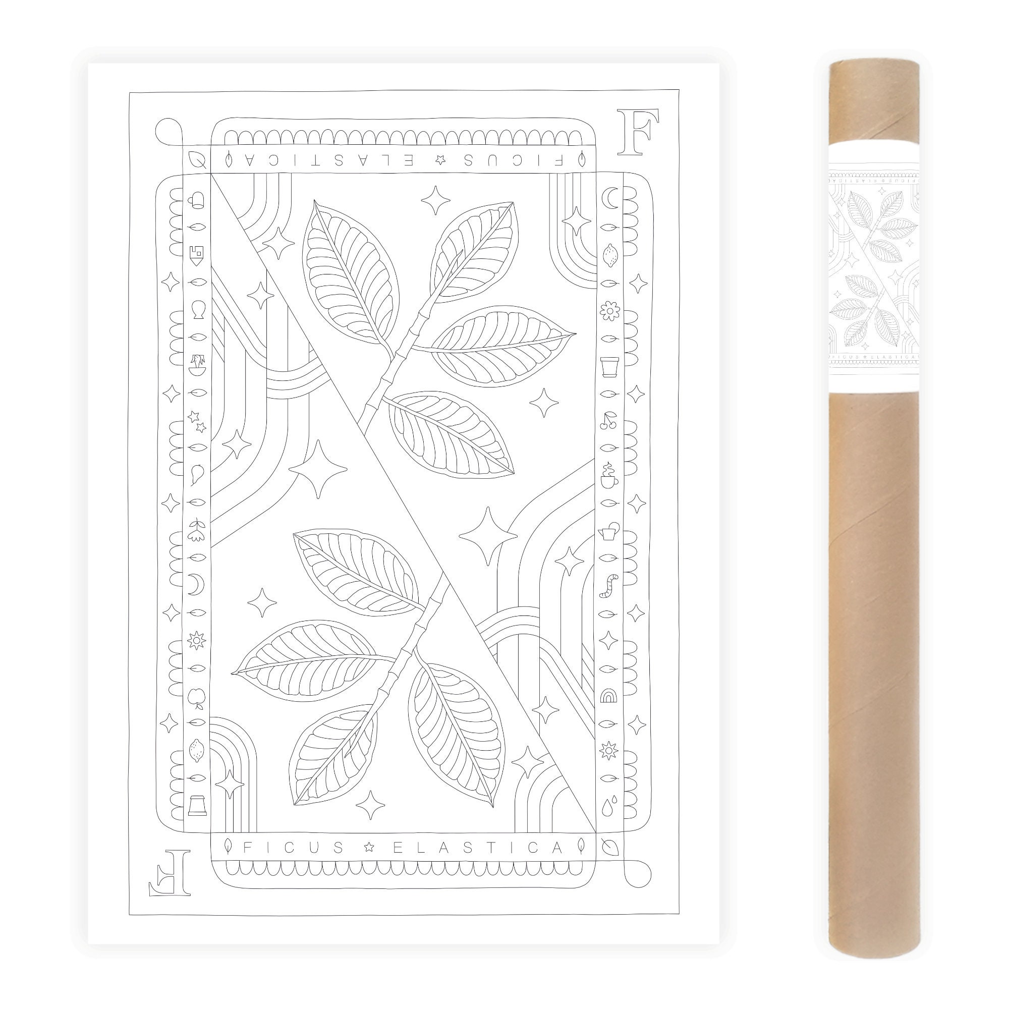 Rubber plant large coloring poster ficus elastica houseplant