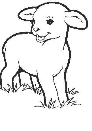 Dibujos para colorear animales oveja para colorear dibujos para colorear adultos ovejas para dibujar