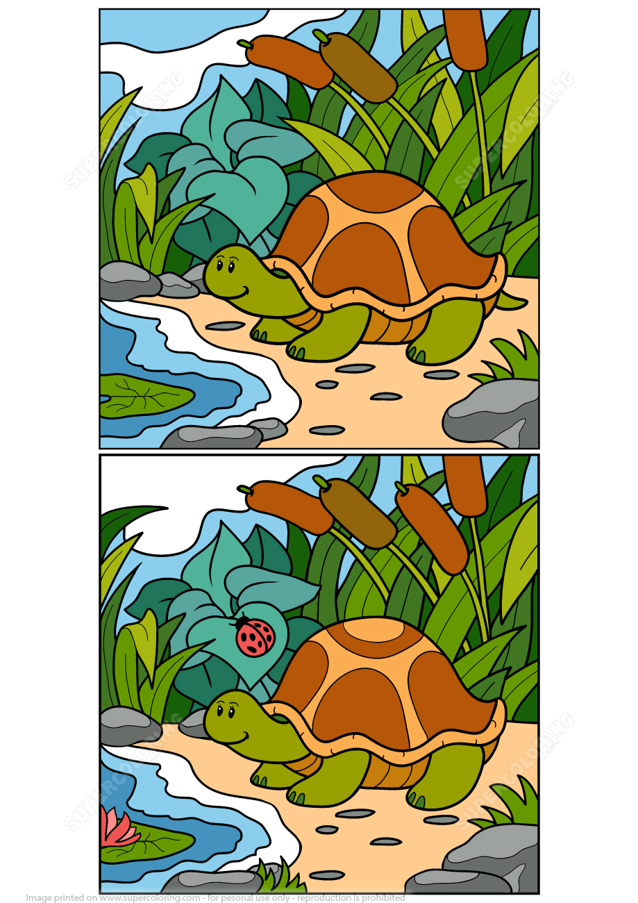 Find differences between pictures of turtle puzzle free printable puzzle games