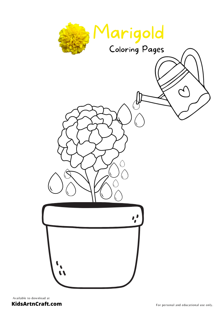 Marigold colorg pages for kids â free prtables prtables free kids colorg pages colorg pages for kids