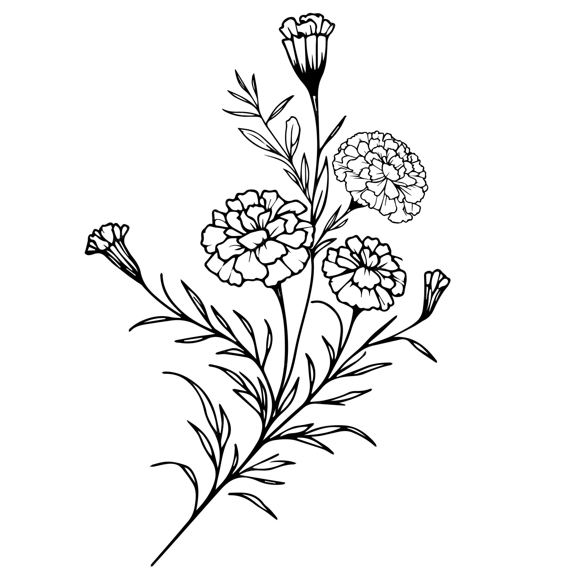 Premium vector free marigold printable coloring pages marigold drawing color marigold small tattoo marigold line