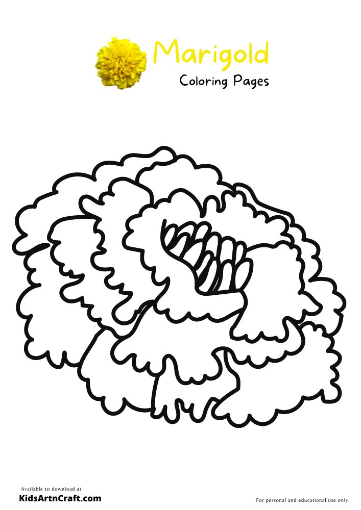 Marigold colorg pages for kids â free prtables prtables free kids colorg pages colorg pages for kids