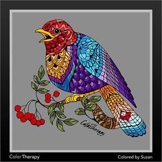 Animal kingdom coloring book