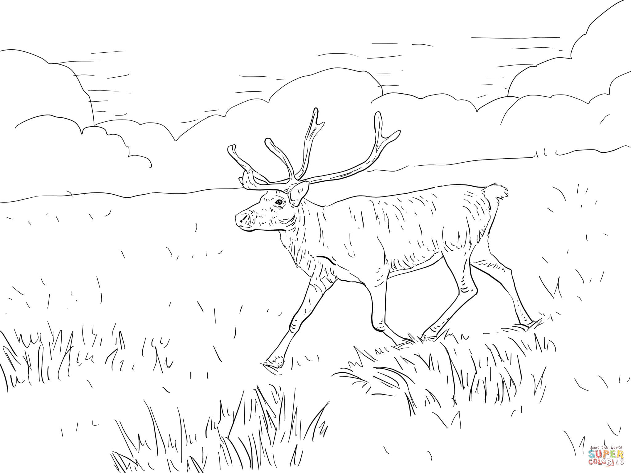 Finnish forest reindeer coloring page free printable coloring pages