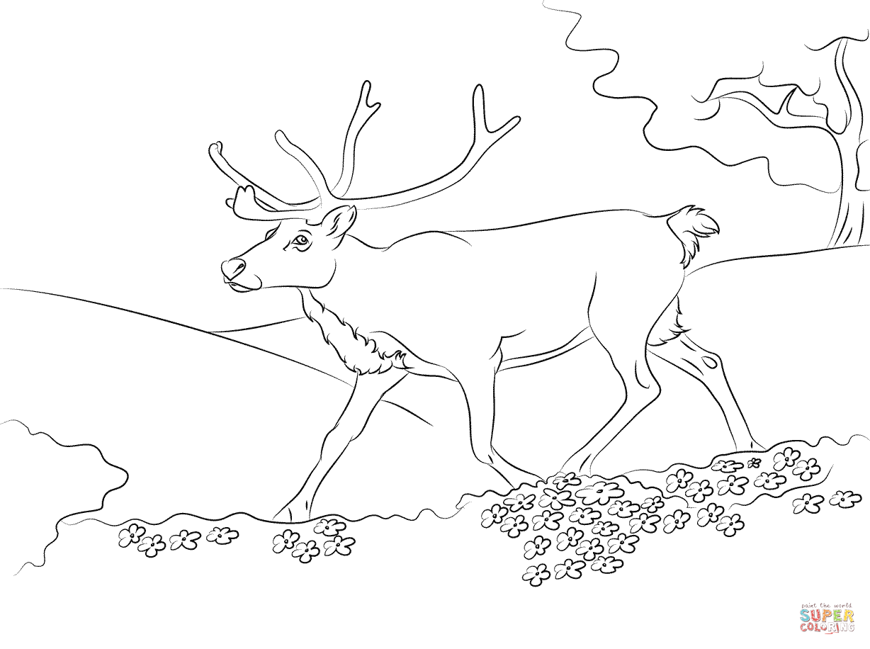Running reindeer coloring page free printable coloring pages