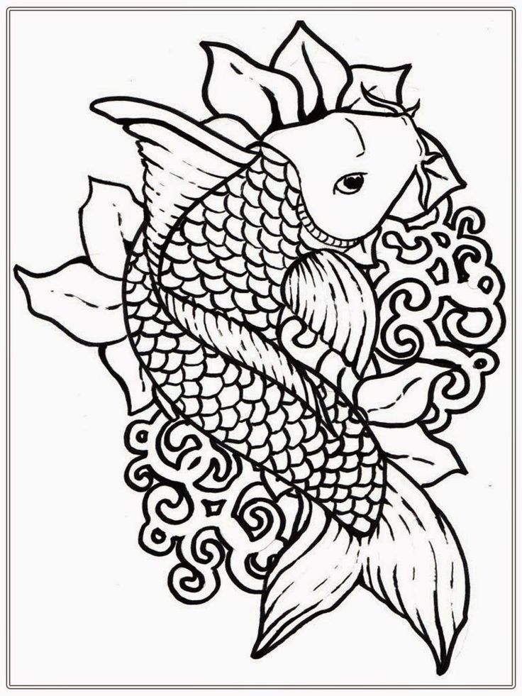 Adult free fish coloring pages realistic