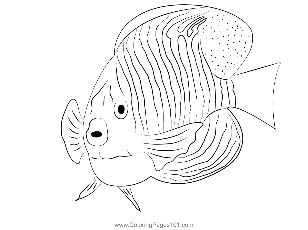 Royal angel fish face coloring page coloring pages fish face angel fish