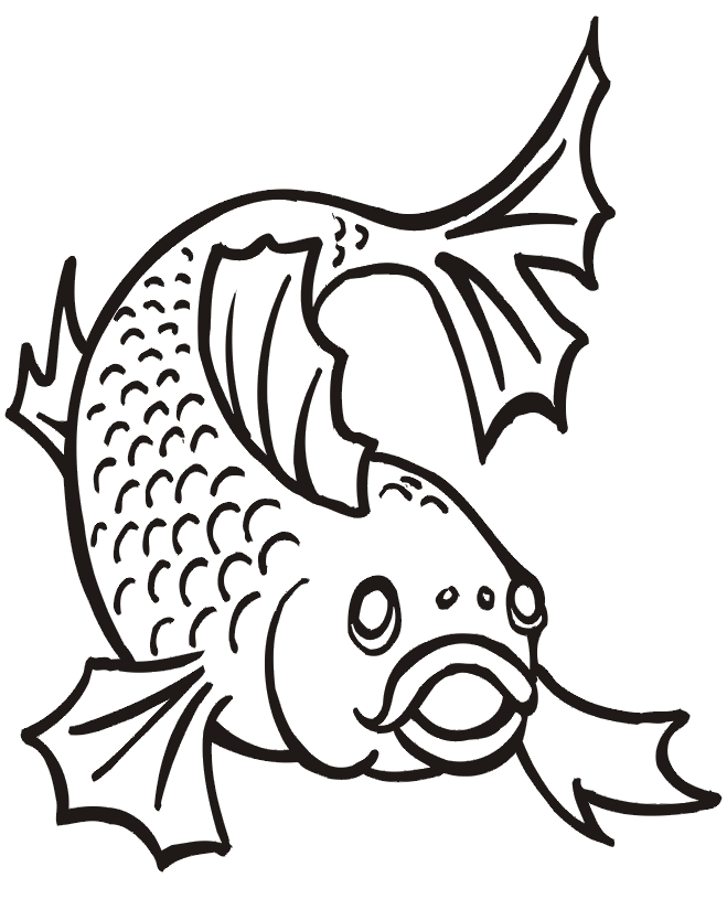 Goldfish coloring page the front view of a goldfish