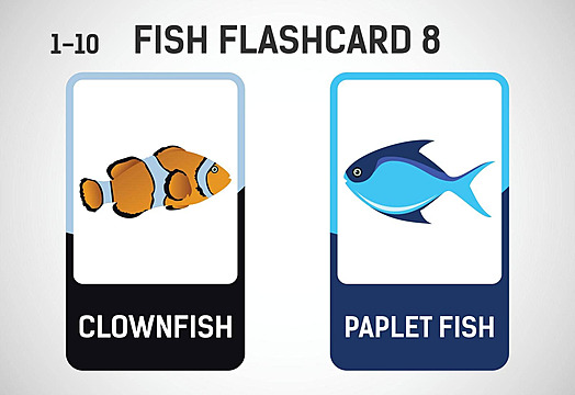 Educational fish flashcards for preschoolers printable vector illustrations vector card writing shark png and vector with transparent background for free download