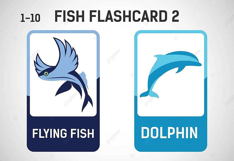 Preschool educational fish flashcards printable vector illustration for kids vector art vector dolpn png and vector with transparent background for free download