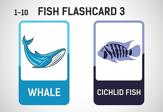 Educational fish flashcards for preschoolers printable vector illustrations vector card writing shark png and vector with transparent background for free download