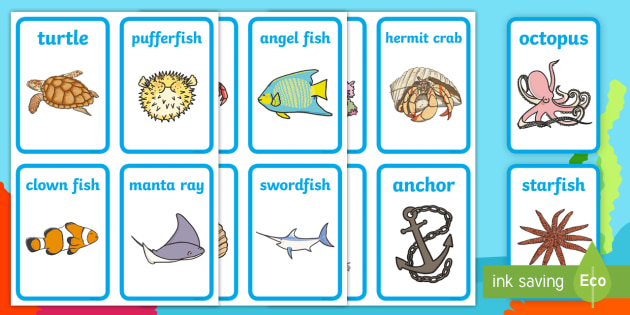 Sea animals flashcards under the sea teaching resources
