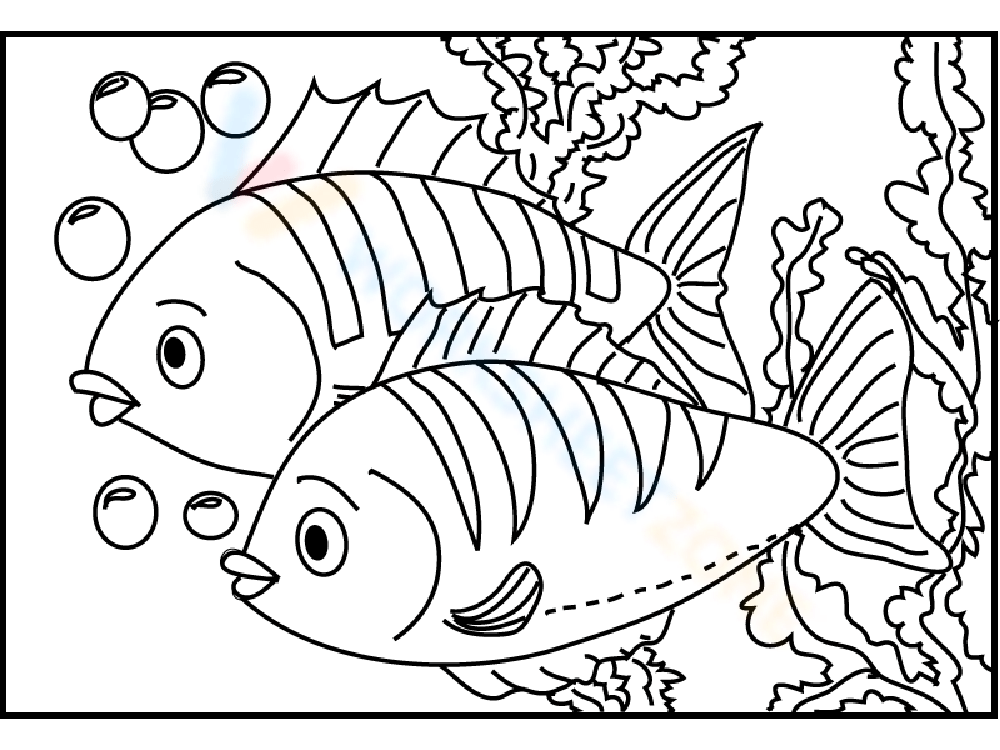 Free printable fish coloring pages for kids adults